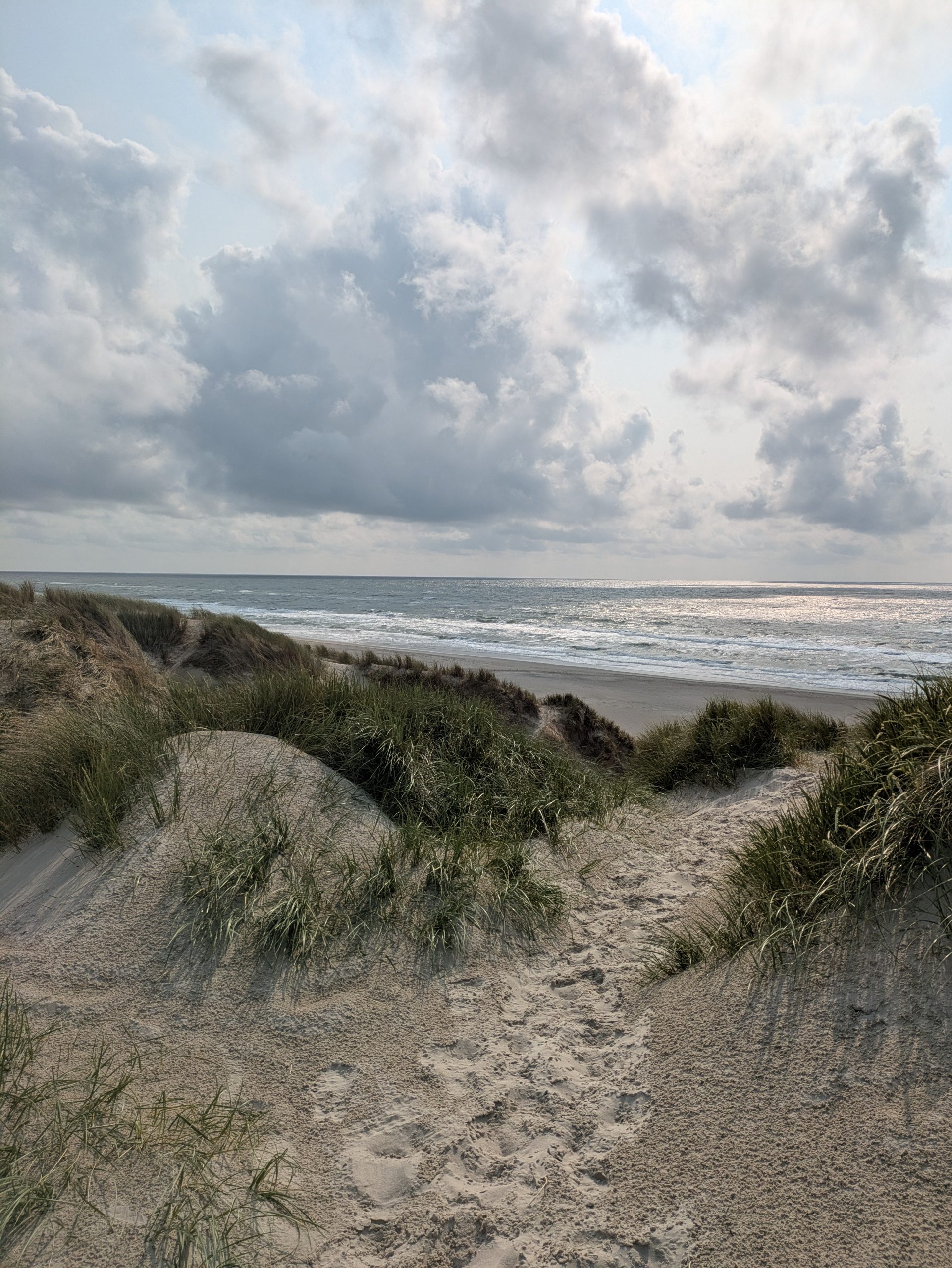 Henne Strand mit Kindern – Dänisches Hygge-Glück zwischen Dünen und Meer